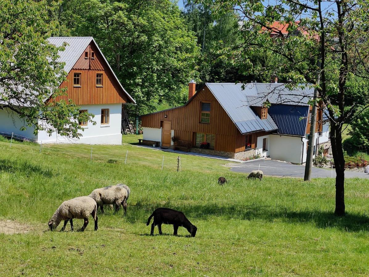 Luxusni Apt Hory 7 V Krkonosich Vysoké nad Jizerou Zewnętrze zdjęcie